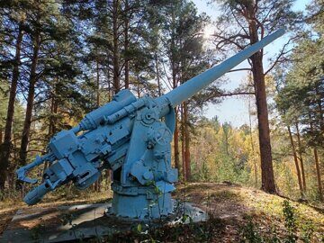 Пушка морская